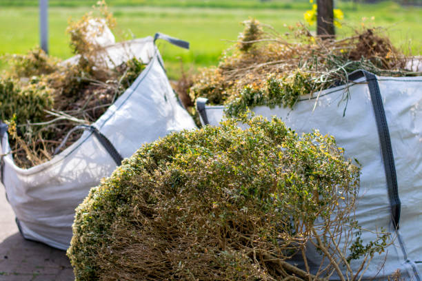 Reliable Poplar Cotton Center, CA Junk Removal Solutions